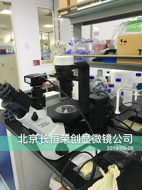 奥林巴斯倒置CKX53荧光显微镜安装于北京大学2