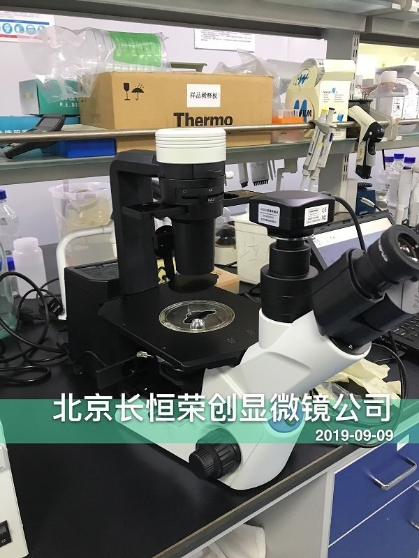 奥林巴斯倒置CKX53荧光显微镜安装于北京大学