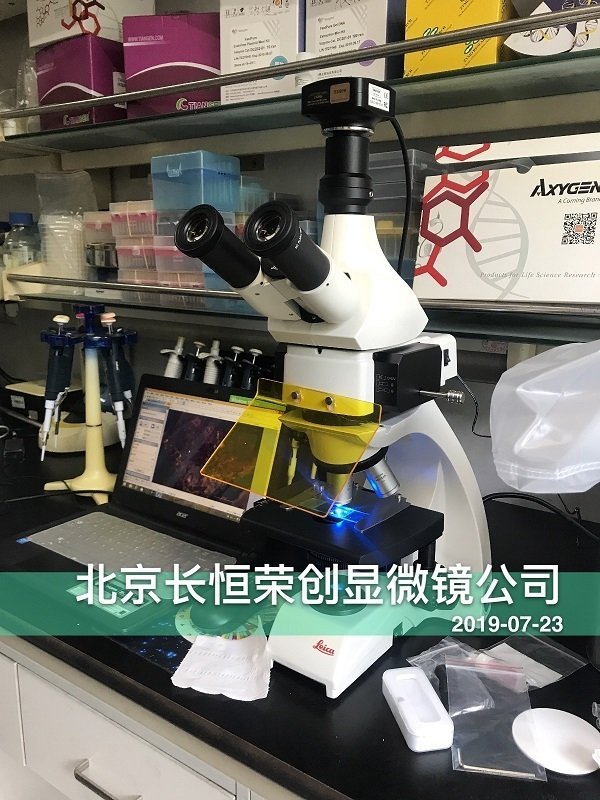 卡荧光显微镜安装于中国农业科学院2