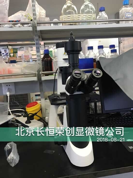 倒置显微镜安装于河北农业大学1