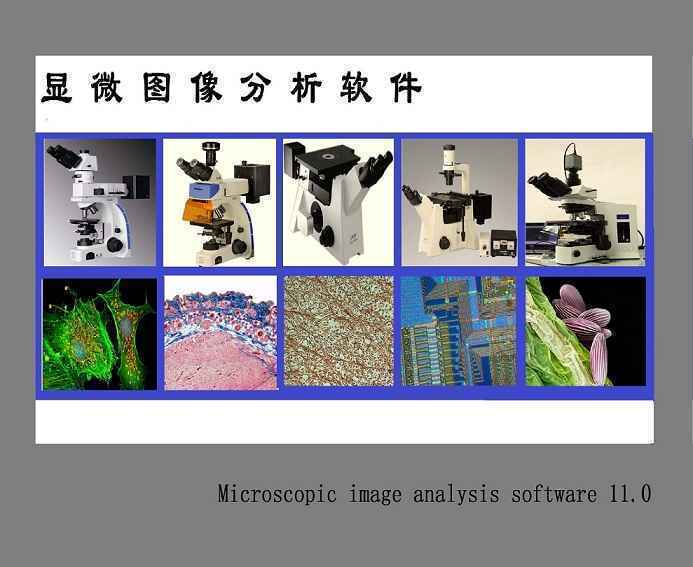 Image Analysis System 11金相显微镜图像分析软件