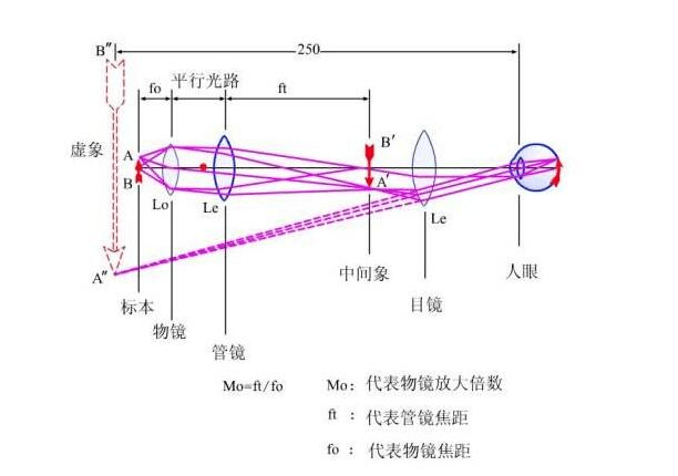 金相显微镜工作原理