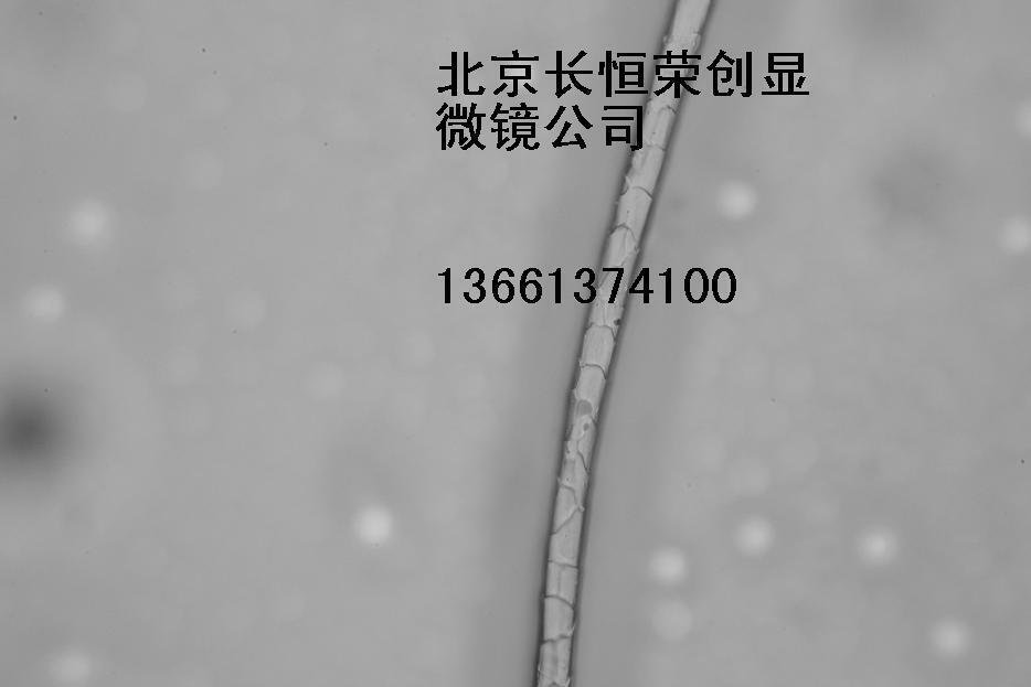 纤维检测显微镜1