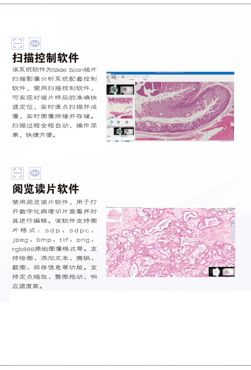 全自动切片扫描仪10